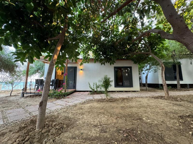 Otelox Ayas Beach Bungalov Erdemli Extérieur photo